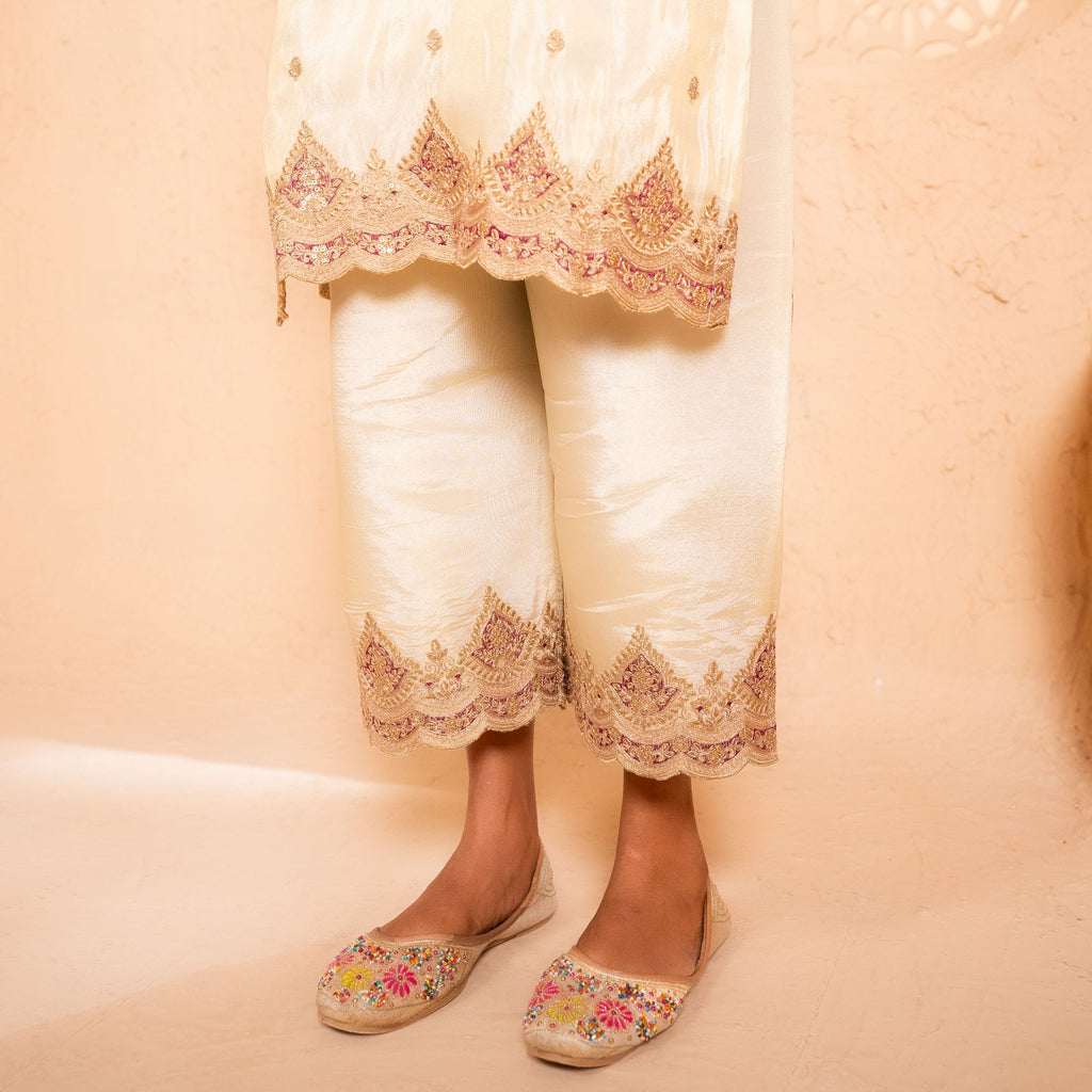 Sargi Tissue Embroidered Cream A-Line Suit Set